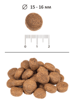 Сухой корм для собак BLITZ ADULT CHICKEN & RICE/корм для взрослых собак всех пород курица и рис, 15 кг