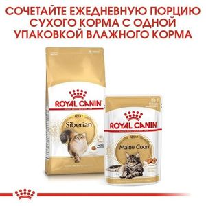 Корм для кошек сибирской породы, Royal Canin Siberian, в возрасте от 1 года и старше