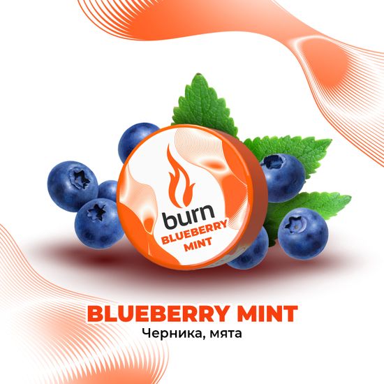 Burn (Blueberry Mint), 25 гр.