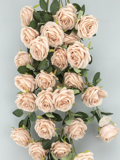 Ампельная кустовая роза Мариэлла пудра