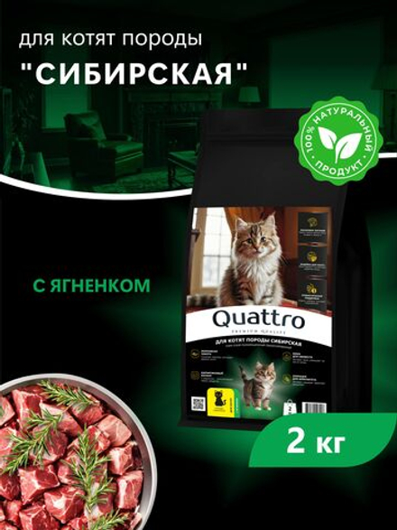 Корм сухой для котят породы Сибирская, с ягненком, 2кг, QUATTRO