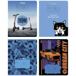 Тетрадь школьная А5 12л линия "Новое поколение", выб. лак, в ассорт. (BG)