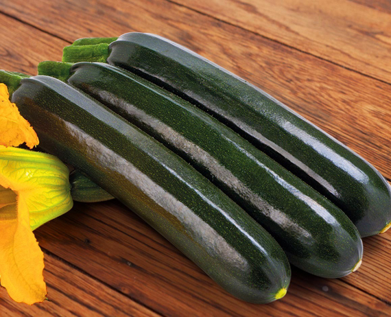 САЛЬВАДОР F1 семена кабачка Enza Zaden семена – фото 1