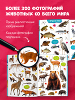 Первые книжки малыша. Большая фотокнига животных