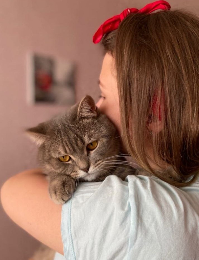 Почему онлайн — это лучшее решение для вас и вашего питомца?