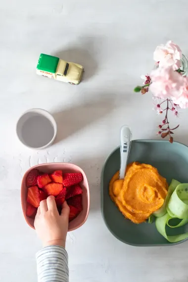 Набор посуды Beaba Coffrey Repas Silicone Euctalyptus