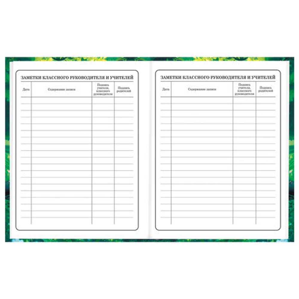 Дневник 1-4 класс 48 л., твердый, BRAUBERG, глянцевая ламинация, с подсказом, "Панда", 107158.