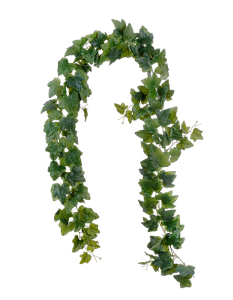 Английский Плющ-гирлянда двойная