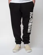 Штаны спортивные Пролетарий