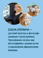 Лето кота Пармезанова