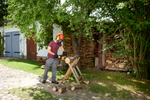 Пила сетевая WORX WG307E JawSaw