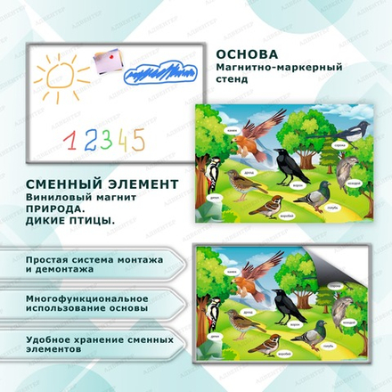 Комплект развивающий ПРИРОДА. ДИКИЕ ПТИЦЫ. 2170