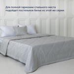 Покрывало + наволочка BuyMirage Silver