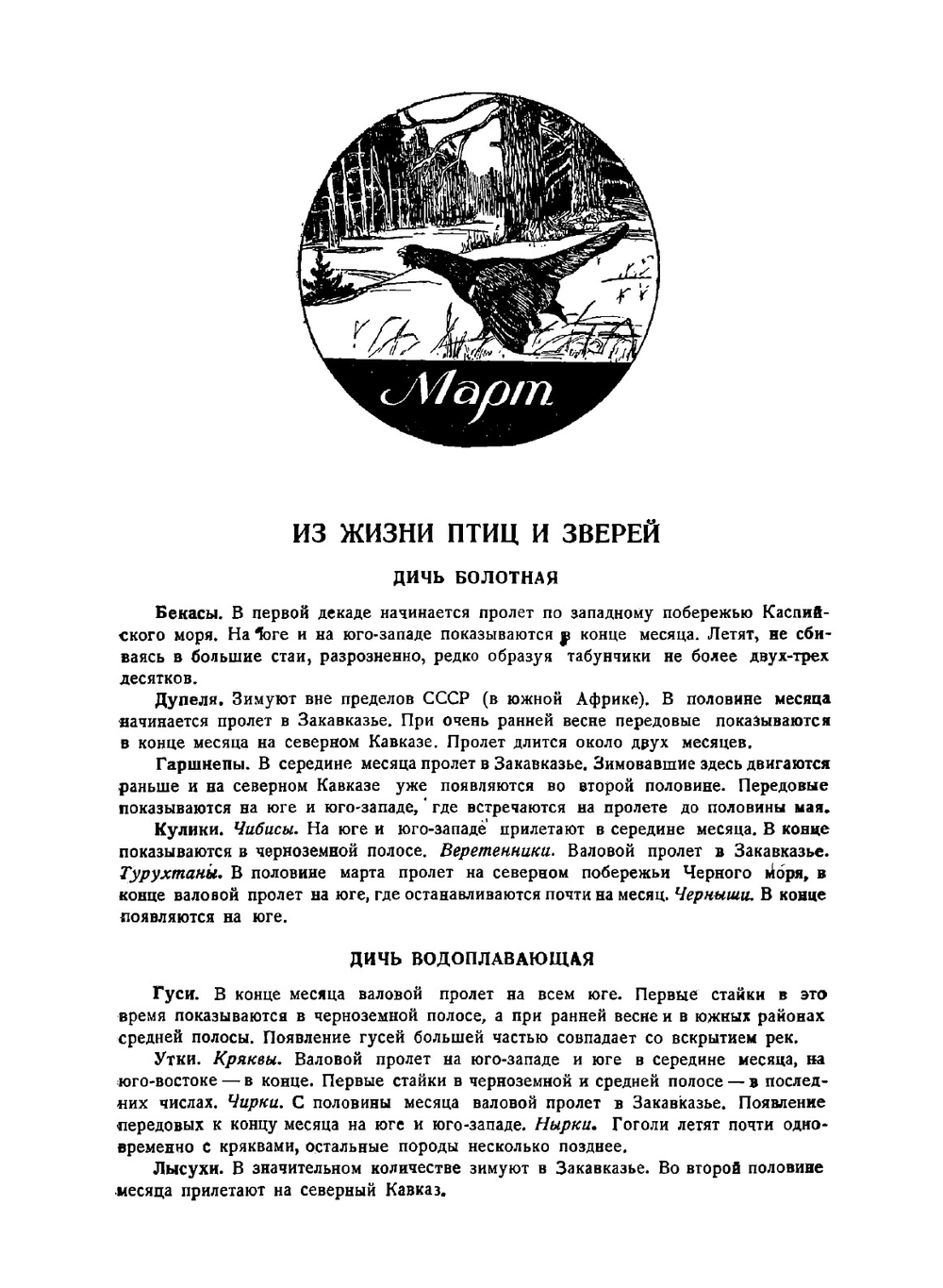 Год охотника. Настольный справочник-календарь | С.С. Качиони