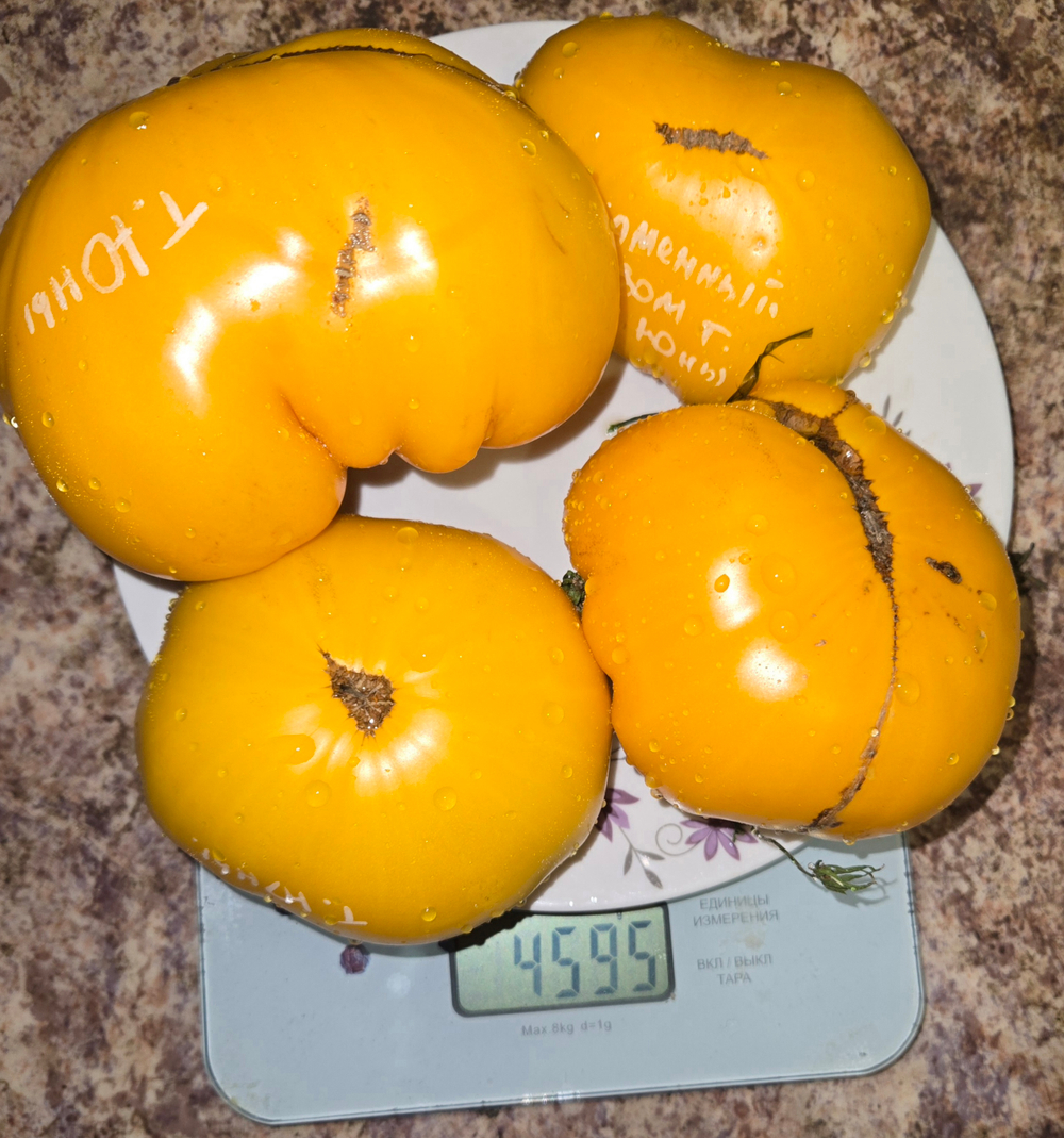 КАМЕННЫЙ ДОМИК ТЕТУШКИ ЮЛЫ