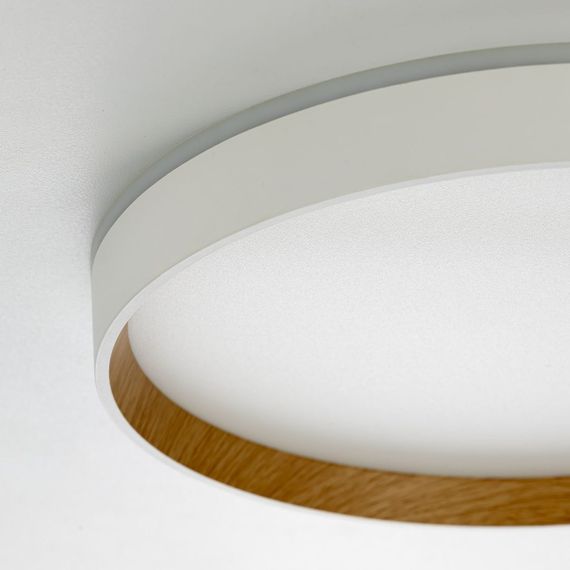 Потолочный светодиодный светильник Citilux Etalon CL750320R