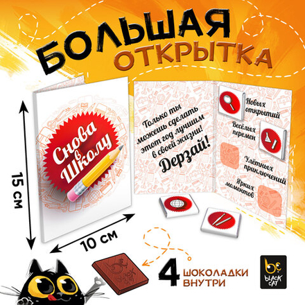 Открытка, СНОВА В ШКОЛУ, молочный шоколад, 20 гр.