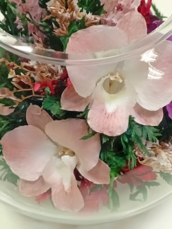 натуральные цветы в стекле, вакуум