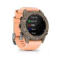 Часы Garmin Descent G2 Paloma with Shell Pink Band