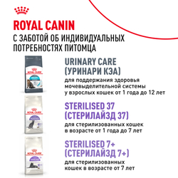 Royal Canin Ageing Sterilised 12+ Корм сухой полнорационный сбалансированный для стерилизованных стареющих кошек в возрасте старше 12 лет - 2 кг