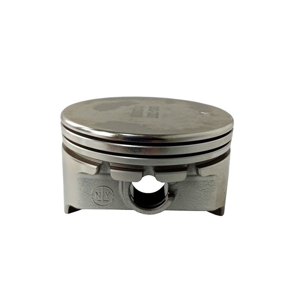 Поршень LC1P65FE-2/130030303-0001