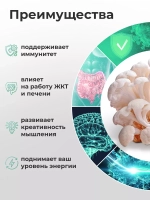 Ежовик Гребенчатый Мицелий 60 капсул
