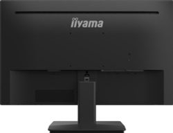 Монитор  23.8'' Iiyama ProLite (XU2493HS-B4)
