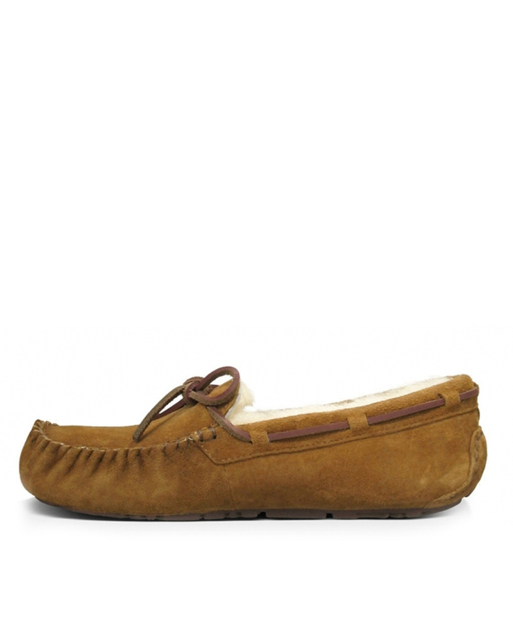 DACOTA-chestnut