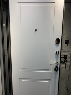 Входная металлическая дверь CARBON (Карбон) 11 Белый софт / Графит Лофт