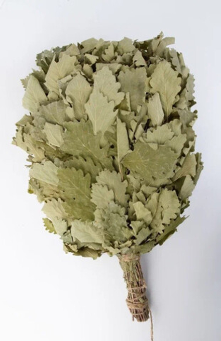 Веник дубовый «Кавказский»