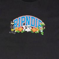  Футболка мужская Ripndip Summer Friends Tee артикул:RND10097 - купить в магазине Дайс