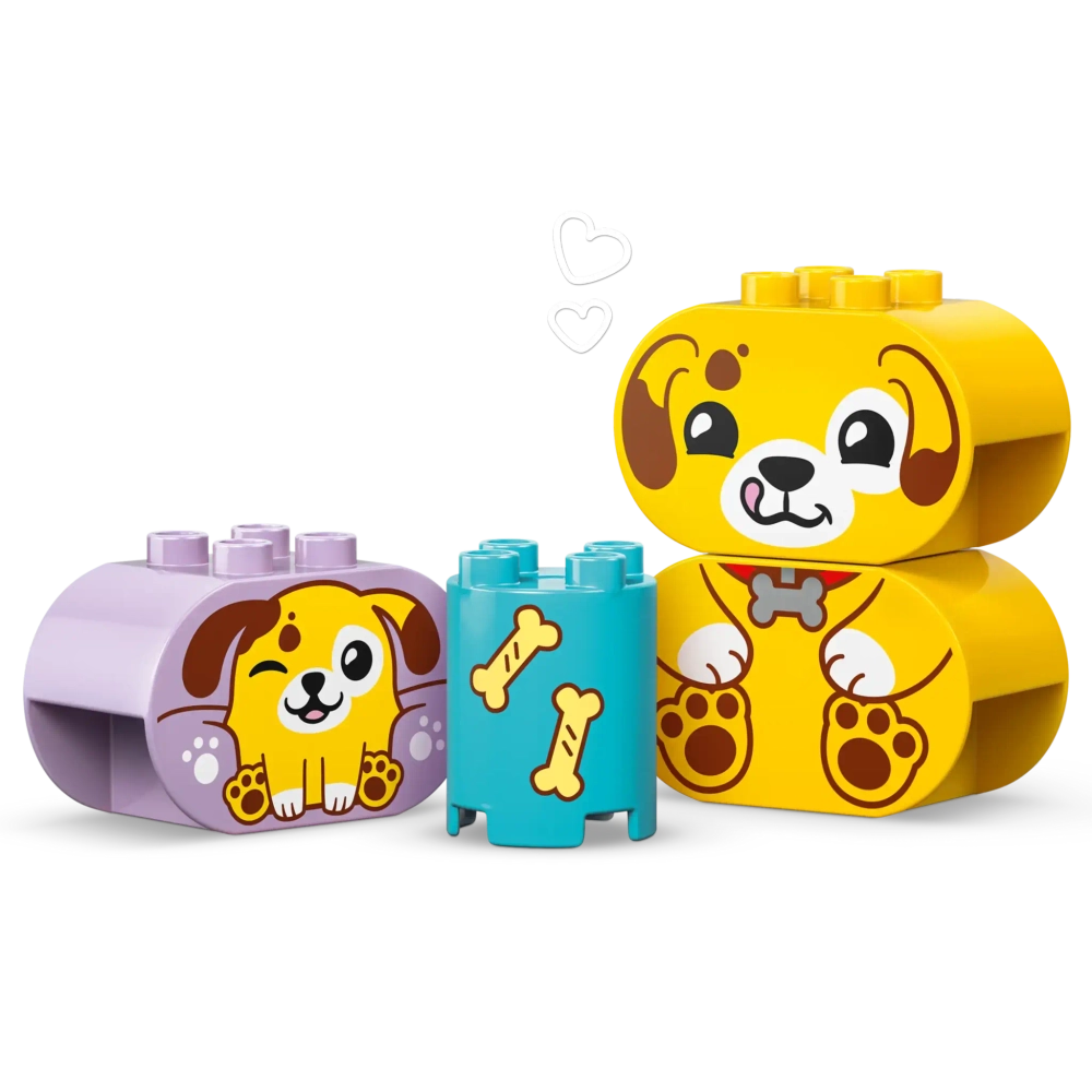 Конструктор LEGO Duplo 10441 Сортир Домик для щенков