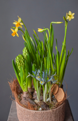 Весенняя композиция №13