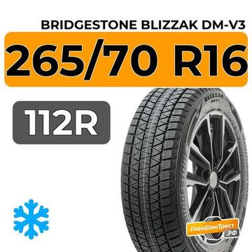 Bridgestone Blizzak DM-V3 265/70 R16 112R