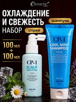 ESTHETIC HOUSE Набор Шампунь для волос CP-1 Cool Mint и Спрей для кожи головы CP-1 Scalp Tincture, 2х100мл