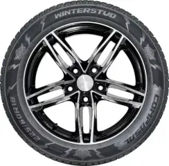 Compasal Winter Stud 275/55 R20 117T XL