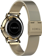 Женские наручные часы Timex TW2U86900