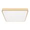 Потолочный светодиодный светильник Loft IT Flims 10228/D