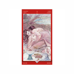 Таро Магия Наслаждений (Руководство и карты)