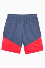 Шорты Puma individualCUP