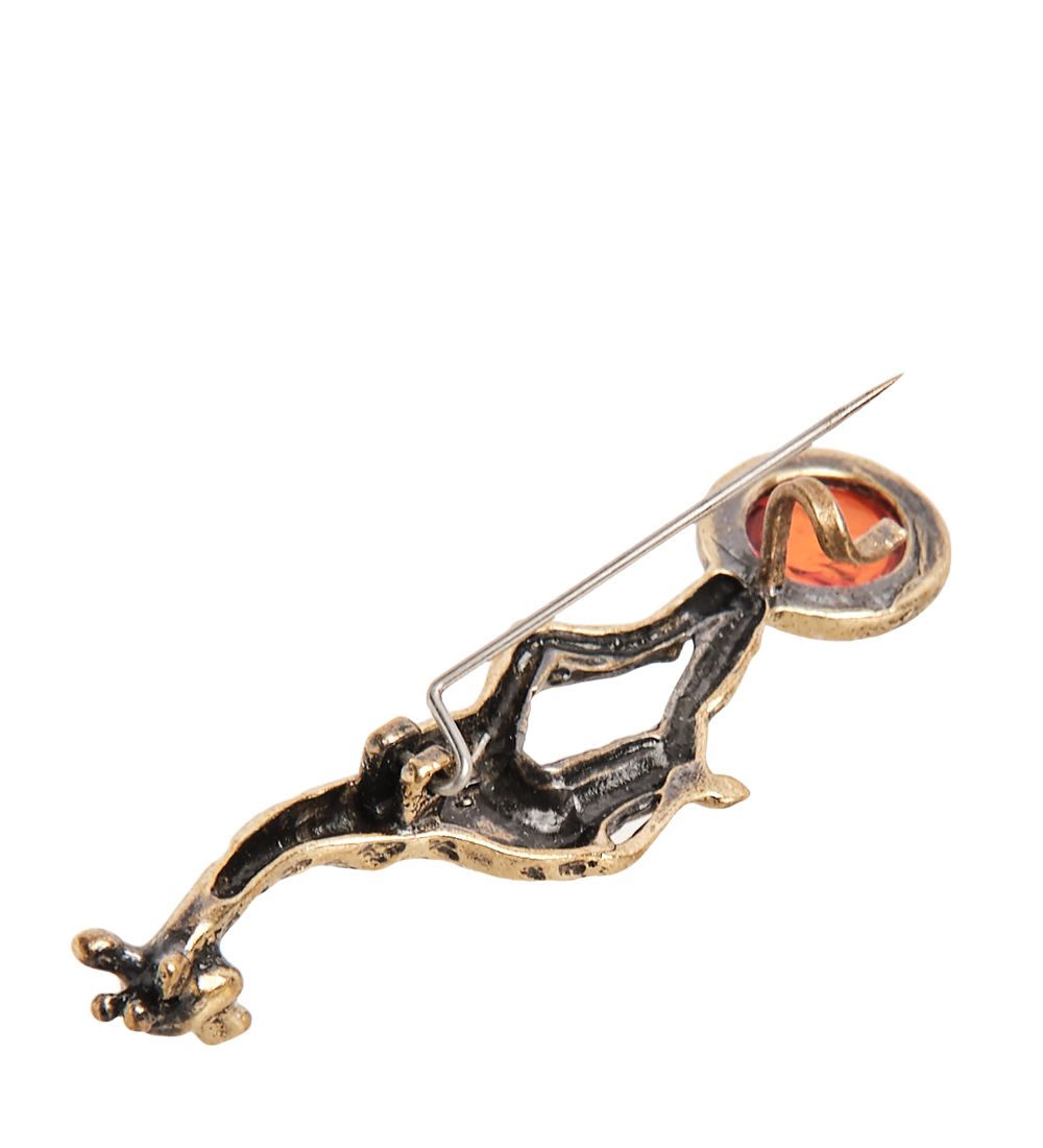 AM-2017 Брошь «Жирафик на шаре» (латунь, янтарь)