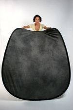 Lastolite LB56NO New YorkOhio