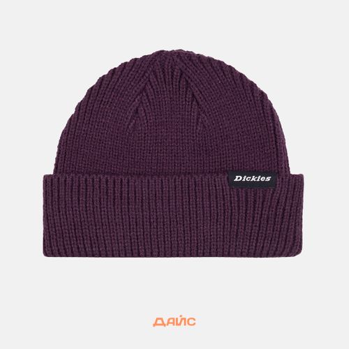 Шапка Dickies Woodworth Beanie  артикул:DK0A4X7YJ561 - купить в магазине Дайс