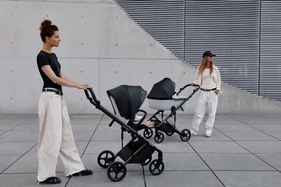 Коляска ANEX Eli 3 в 1 No.5