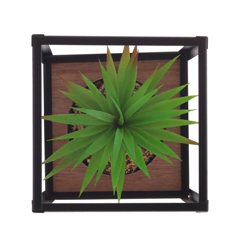 GAEM Цветочная композиция "Суккулент", L14 W14 H21 см