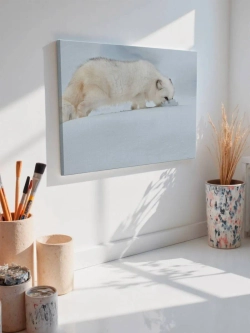 Картина на стену 40 X 50 Зверь