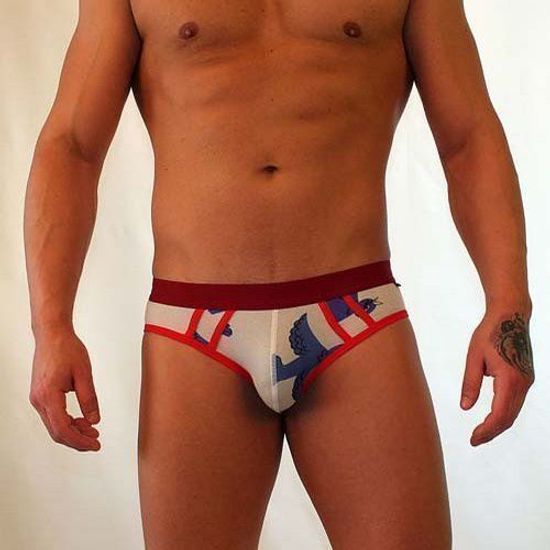 Трусы мужские брифы светло-серые с красной резинкой Van Baam VB-421-AN021