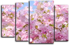 Модульная картина "Сакура. Цветение"