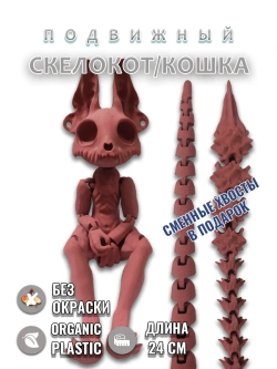 Скелет Кошки