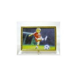 GT 134/G горизонтальная прямая 10*15